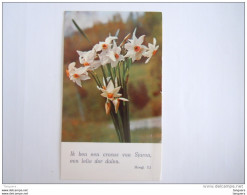 Image Pieuse Holy Card Santini Communie 1972 Moorslede Monique Deltomme Narcis Italy FB Garden 96 - Devotieprenten