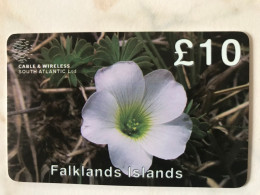 FALKLANDS   FLOWER   MINT - Isole Falkland