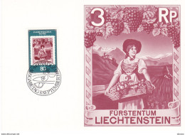 LIECHTENSTEIN 1980 MUSEE POSTAL CM  Yvert 691, Michel 750 - Cartes-Maximum (CM)