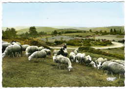 Royère - Vue Du Signal - Royere