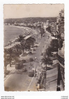 06 NICE N°714 Promenade Des Anglais VOIR ZOOM Cabriolets Marque ? Peugeot 202 Ou 203 ? Autres ? BUS Ancien En 1952 - Sonstige & Ohne Zuordnung