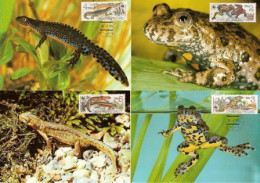 CM Czechoslovakia Amphibians 1989 - Frogs