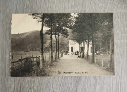 Malmedy : Pouhon Des îles : CPA Non écrite - Malmedy