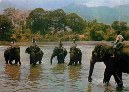 Animaux - Eléphants - Sri Lanka - Kandy - Katugastota - CPM - Voir Scans Recto-Verso - Elefanten