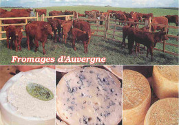 Recettes De Cuisine - Fromages D'Auvergne - Multivues - Gastronomie - CPM - Voir Scans Recto-Verso - Recettes (cuisine)