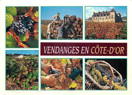 Vignes - Vendanges En Cote D'Or - Multivues - CPM - Voir Scans Recto-Verso - Vines
