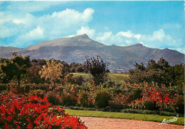 64 - La Rhune - Face Nord - Vue Prise De La Redoute - CPM - Voir Scans Recto-Verso - Otros & Sin Clasificación