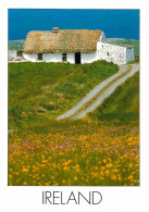 Irlande - A Typical Irish Cottage - Une Typique Chaumière Irlandaise - Insight Ireland Card - CPM - Carte Neuve - Voir S - Altri & Non Classificati