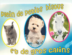 Animaux - Chevaux - Chats - Chiens - Multivues - CPM - Voir Scans Recto-Verso - Chevaux