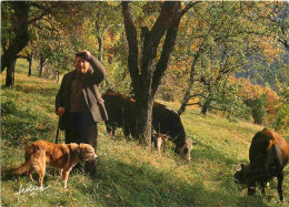 Animaux - Vaches - Chien - Carte Terroir Feeling - CPM - Voir Scans Recto-Verso - Vacas