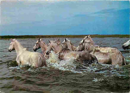 Animaux - Chevaux - Camargue - Chevaux Traversant Un Cours D'eau - CPM - Voir Scans Recto-Verso - Chevaux