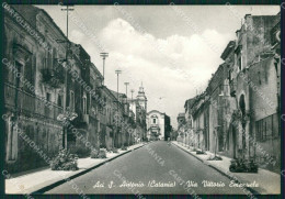 Catania Aci Sant'Antonio Foto FG Cartolina ZKM7685 - Catania