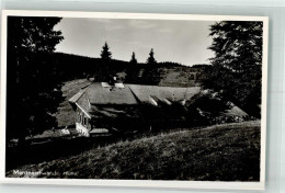 39725704 - Feldberg , Schwarzwald - Feldberg