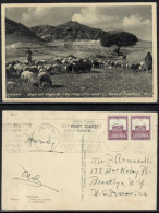 Jaffa 1938 - British Mandate Post In Palestine Jerusalem Postcard - Palästina