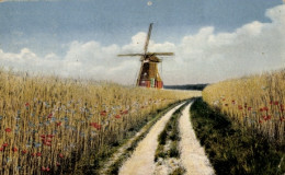 CPA Niederlande, Blumenfelder, Windmühle - Mulini A Vento
