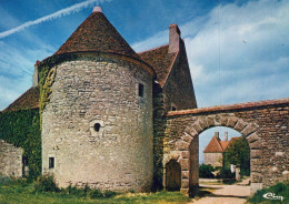 TANNAY CHATEAU DE PIGNOL - Tannay