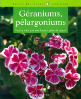 Géraniums, Pélargoniums (1991) De Andreas Riedmiller - Tuinieren