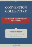 Convention Collective Esthétique-cosmétique Et Parfumerie (2010) De Collectif - Recht