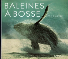 Baleines A Bosses (2000) De Collectif - Animaux