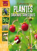 Cultivez Les Plantes Sauvages Comestibles (0) (2012) De Jm Polese - Jardinage