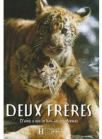 Deux Frères (2004) De Bertrand Ferrier - Kino/TV