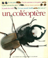 Un Coléoptère (1991) De Still J - Animali