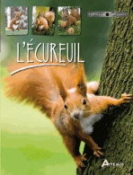 L'écureuil (2012) De Jacqueline Visage - Dieren
