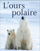 L'ours Polaire (2012) De Norbert Rosing - Animales