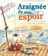 Araignée D'un Soir, Espoir (2015) De François Lasserre - Unclassified