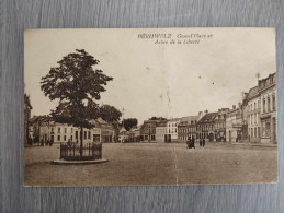 Peruwelz : Grand Place Et Arbre De La Liberté : CPA Non écrite - Péruwelz