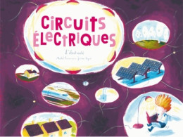 Circuits électriques (2015) De Michel Francesconi - Autres & Non Classés