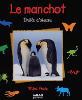 Le Manchot : Drôle D'oiseau (2004) De Valérie Tracqui - Autres & Non Classés