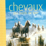 Chevaux Des Bords De Mer (2007) De Hubert Arzur - Animaux