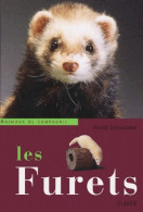 Les Furets (2003) De Harald Schwammer - Animaux