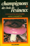 Champignons Des Bois De Résineux (1982) De Hervé Chaumeton - Natura