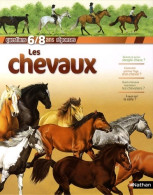 Les Chevaux (2009) De Jackie Gaff - Animaux