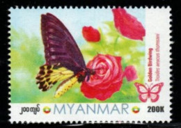 Myanmar 2024 Insects - Butterfly Of Myanmar (I) Stamp 1v MNH - Myanmar (Birma 1948-...)