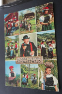 Schwarzwald - Grüsse Aus Dem Schwarzwald - Krüger - # 1036/66 - Europe