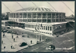 Bologna Città Palazzo Sport Foto FG Cartolina ZF4634 - Bologna