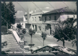 Grosseto Cinigiano Foto FG Cartolina ZF4563 - Grosseto