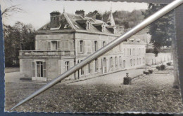 78 - Maule - CPSM - Château De La Rolanderie- Collection Neveu - Cliché SPS - Année 50 - TBE - - Maule