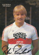 Fußball: VfB Stuttgart Peter Reichert #112.684 - Andere & Zonder Classificatie