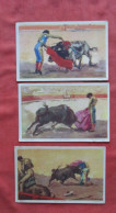 Lot Of  3 Cards.  Bull Fighter. Ref 6384 - Corridas