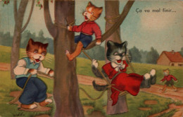 N°115 W -cpa Illustrateur -chats Humanisés- - Contemporanea (a Partire Dal 1950)