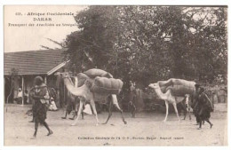 DAKAR - Transport Des Arachides Au Sénégal - (Vers 1945) - WW2 - Correspondance: "Témoignage" - - Senegal