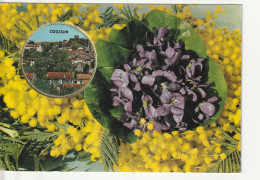 CP 83 COGOLIN Carte Parfumée Mimosas Violettes - Cogolin