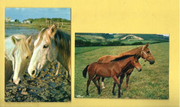 CHEVAUX . " PETITE FAMILLE " & " CAMARGUE . UN TENDRE FLIRT " . 2 CPM - Réf. N°38920 - - Chevaux