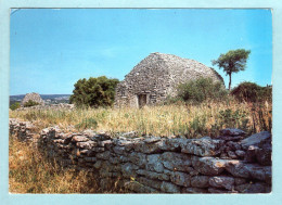 CP 84 - Provence - Maisonnettes De Pierres Sèches Appelées Bori - Provence-Alpes-Côte D'Azur