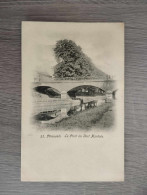 Peruwelz : Pont Du Vert Montois : Carte Dos Non Divisé : Non écrite - Péruwelz