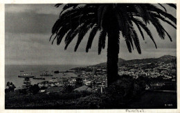 MADEIRA / VIEW OF FUNCHAL FROM EAST - Madeira